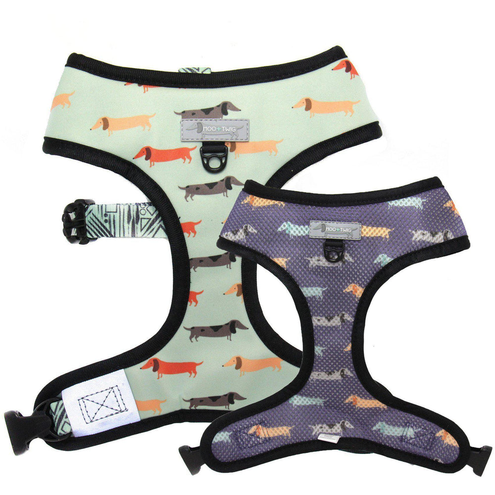 Dachshund Dog Harness - Dachshund Wearing Dog Harness - Best Dog Harness for Dachshunds