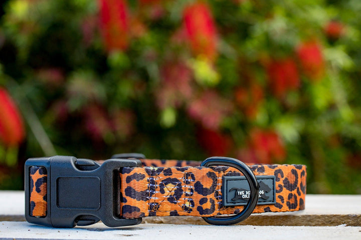 Safari - Leopard Print Dog Collar (Made to order in 2 days) "Value Range"-Dog Collar-Dizzy Dog Collars