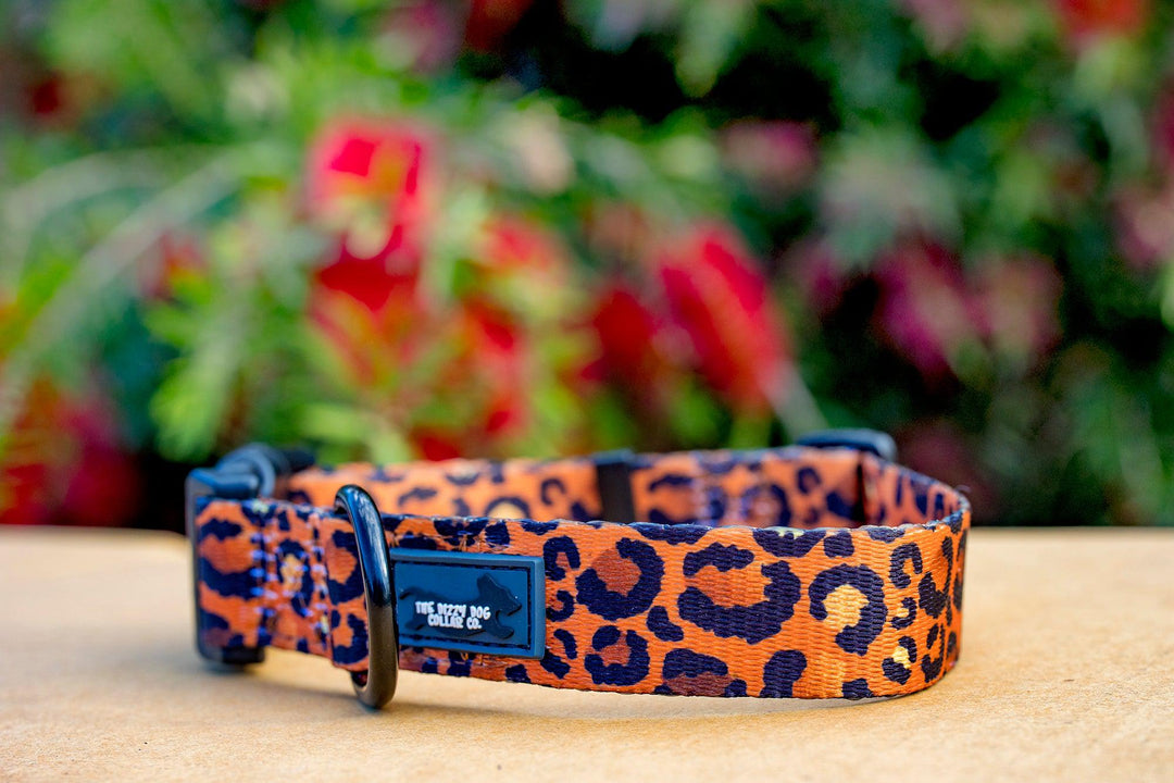 Safari - Leopard Print Dog Collar (Made to order in 2 days) "Value Range"-Dog Collar-Dizzy Dog Collars