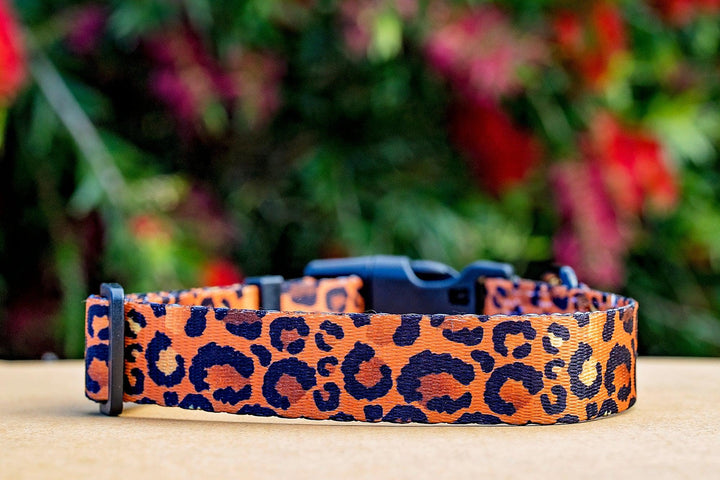 Safari - Leopard Print Dog Collar (Made to order in 2 days) "Value Range"-Dog Collar-Dizzy Dog Collars