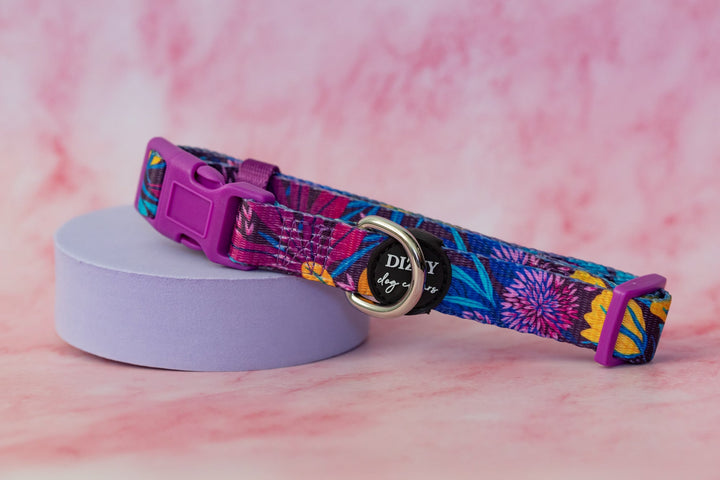 Sapphire Showers Dog Collar | Value Range Dog Collar-Dog Collar-Dizzy Dog Collars