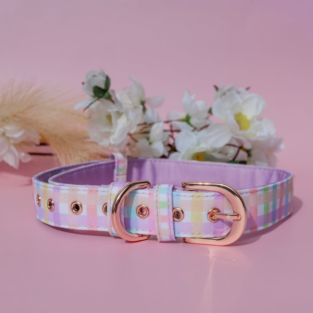 Sherbet Gingham Belt Buckle Dog Collar | Canvas & Neoprene-Dog Collar-Dizzy Dog Collars