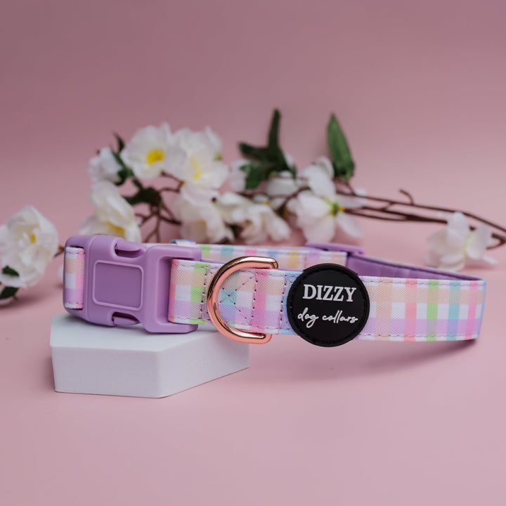 Sherbet Gingham Dog Collar | Canvas & Neoprene Dog Collar-Dog Collar-Dizzy Dog Collars