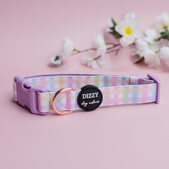 Sherbet Gingham Dog Collar | Canvas & Neoprene Dog Collar-Dog Collar-Dizzy Dog Collars