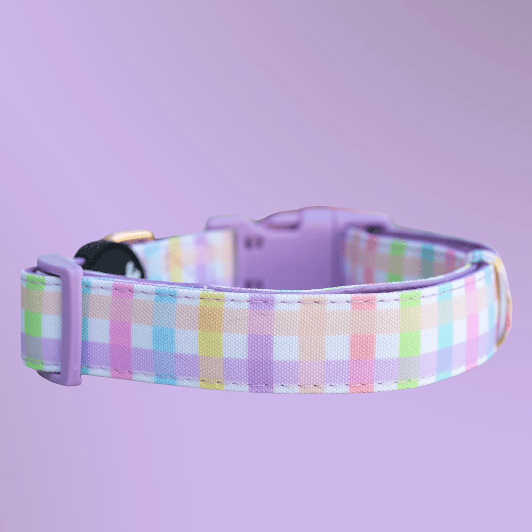 Sherbet Gingham Dog Collar | Canvas & Neoprene Dog Collar-Dog Collar-Dizzy Dog Collars