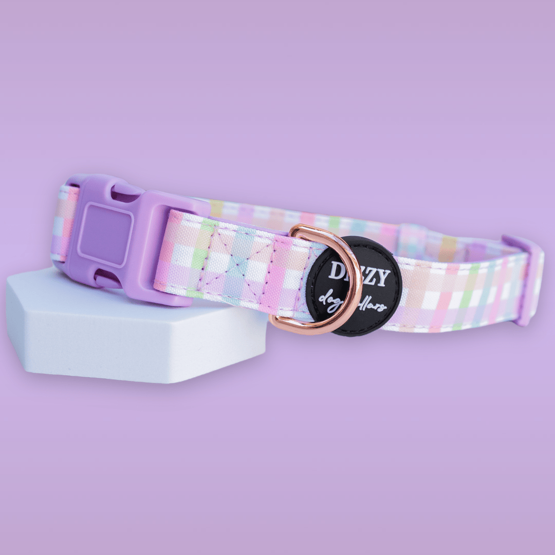 Sherbet Gingham Dog Collar | Canvas & Neoprene Dog Collar-Dog Collar-Dizzy Dog Collars