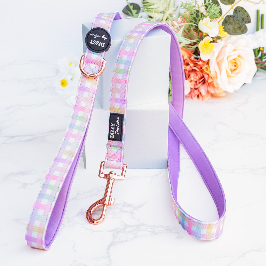 Sherbet Gingham Dog Leash | Canvas & Neoprene | High Quality Fully Padded Leash-Leash-Dizzy Dog Collars