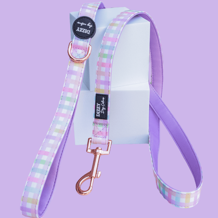 Sherbet Gingham Dog Leash | Canvas & Neoprene | High Quality Fully Padded Leash-Leash-Dizzy Dog Collars