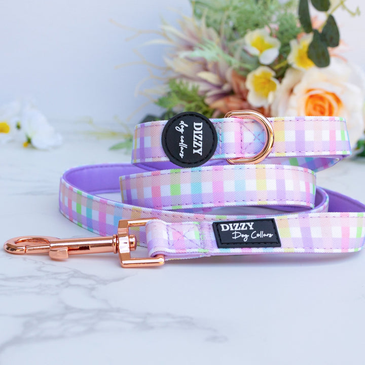 Sherbet Gingham Dog Leash | Canvas & Neoprene | High Quality Fully Padded Leash-Leash-Dizzy Dog Collars