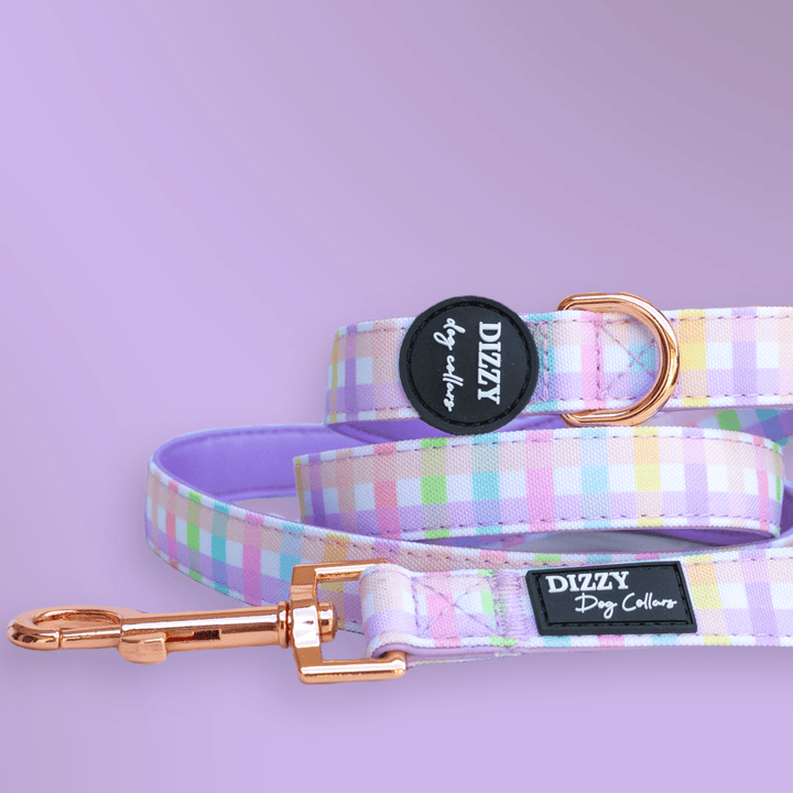 Sherbet Gingham Dog Leash | Canvas & Neoprene | High Quality Fully Padded Leash-Leash-Dizzy Dog Collars