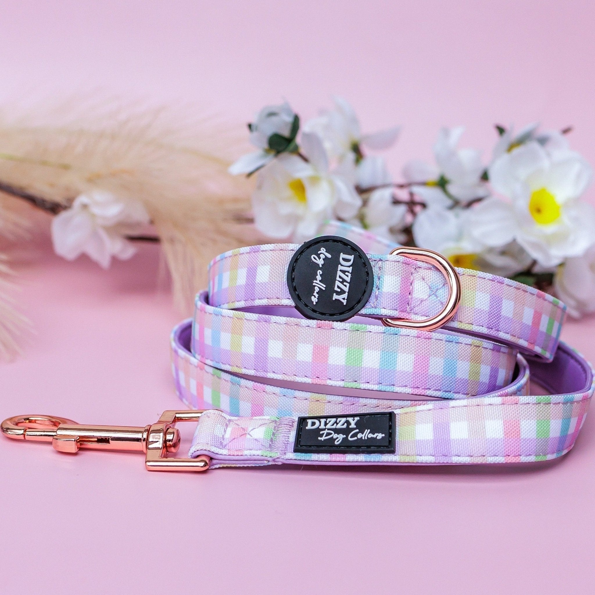 Shop Designer Dog Collars Leads Online Dizzy Dog Collars Dizzy Dog Collars