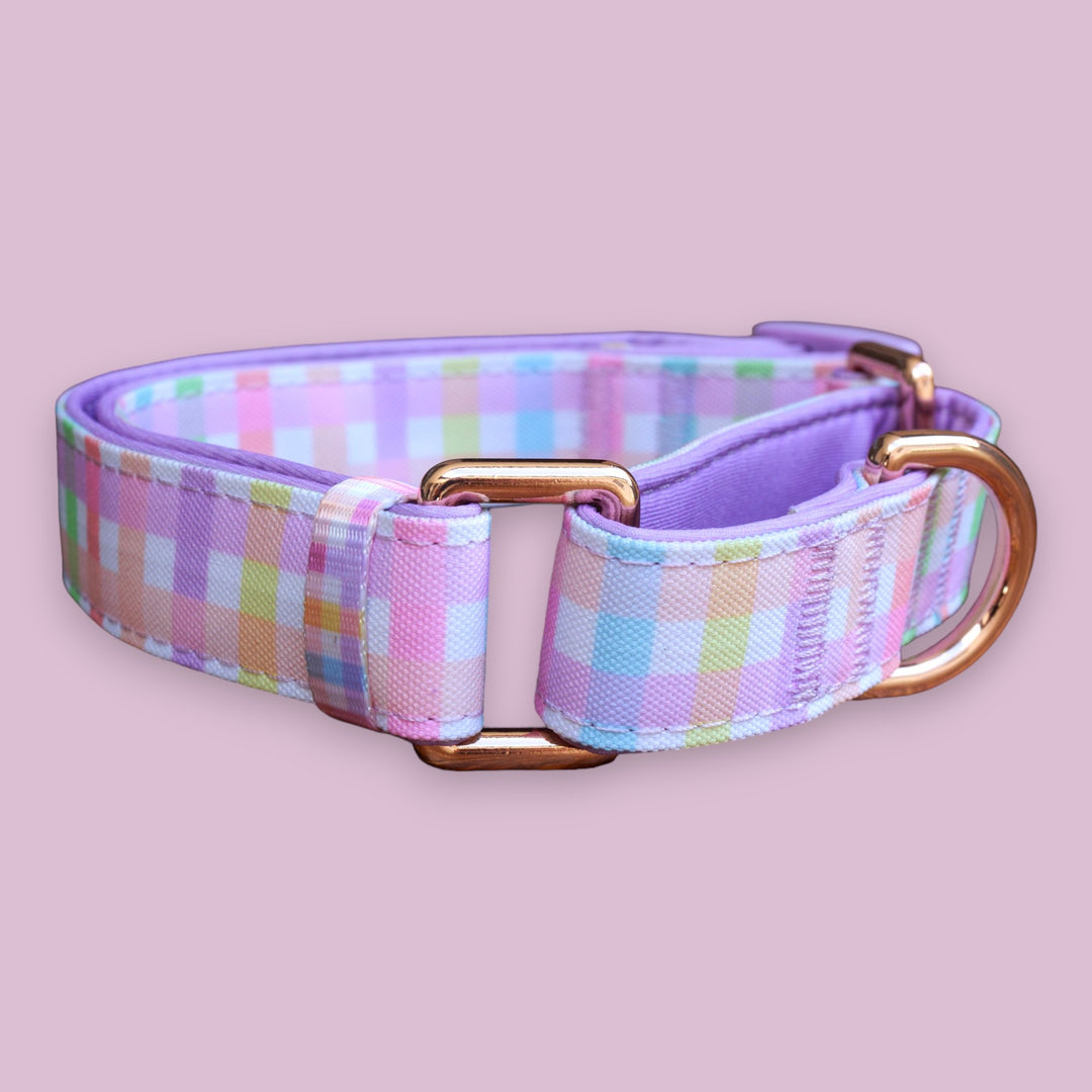 Sherbet Gingham Martingale dog collar with a pastel rainbow gingham pattern and rose gold hardware, displayed on a light pink background