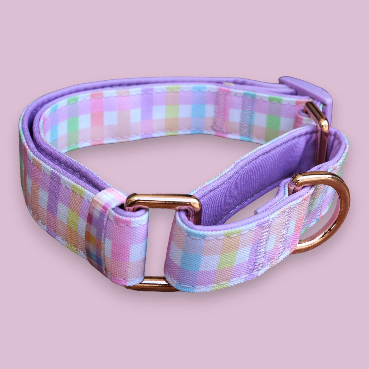 Close-up of the Sherbet Gingham Martingale dog collar featuring a pastel rainbow gingham pattern and rose gold hardware, set against a light pink background