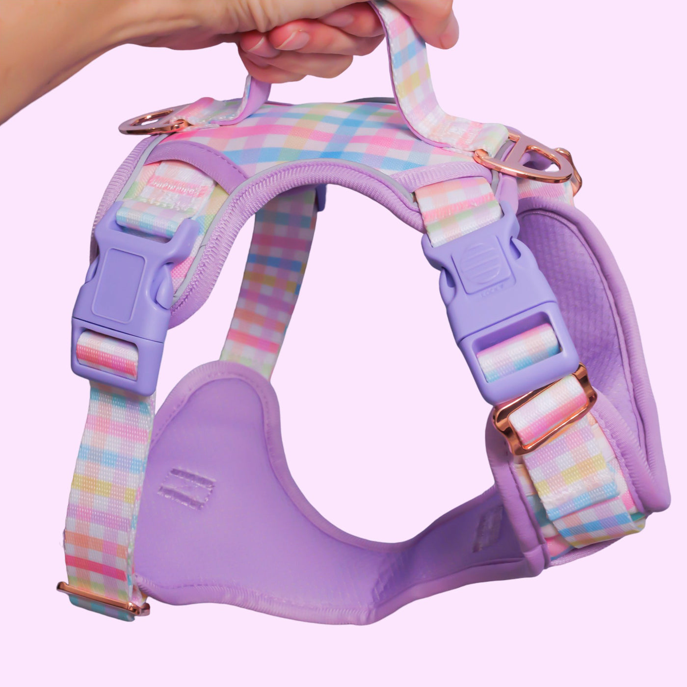 This image displays a hands-on view of a dog harness held against a pink background. The harness features a pastel-colored sherbet gingham pattern with adjustable straps and multiple pastel pink and purple buckles for a secure fit. The fabric of the harness is complemented by rose gold metal accents, including rings and adjustment slides. Additionally, the harness is designed with a purple padded chest plate to ensure comfort for the dog. The overall look is playful and stylish, ideal for a fashionable pet.