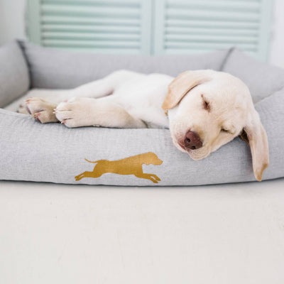 small puppy bed with memory foam - chasing winter