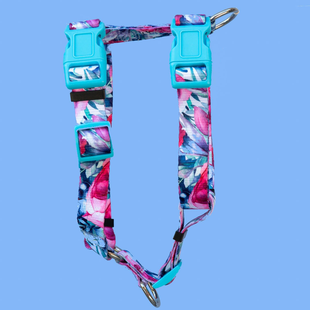 Step in H-Harness with front & back attachment - Blossom Rose-Harness-Dizzy Dog Collars