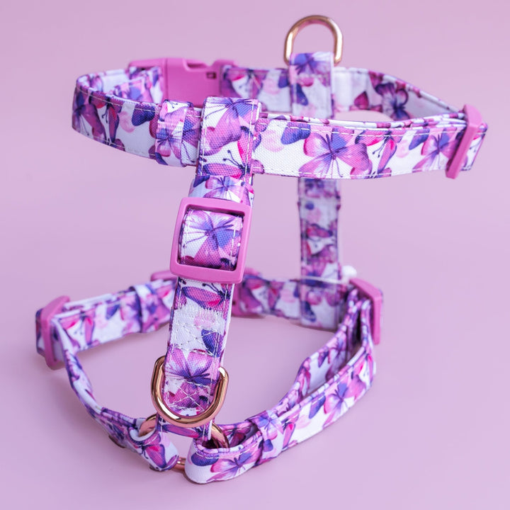 Step in H-Harness with front & back attachment | Pink Butterflies | Fully Padded Canvas & Neoprene Harness-H-Harness-Dizzy Dog Collars