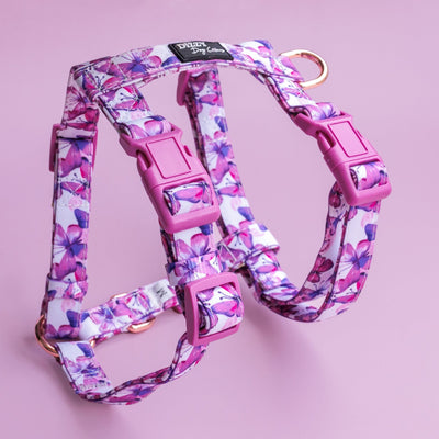 Step in H-Harness with front & back attachment | Pink Butterflies | Fully Padded Canvas & Neoprene Harness-H-Harness-Dizzy Dog Collars