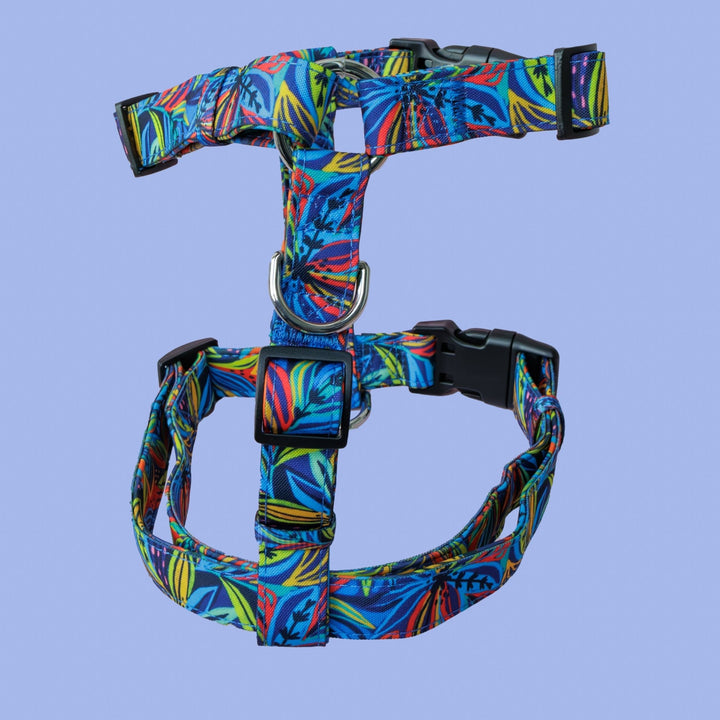 Step in H-Harness with front & back attachment | Oasis | Fully Padded Canvas & Neoprene Harness-H-Harness-Dizzy Dog Collars