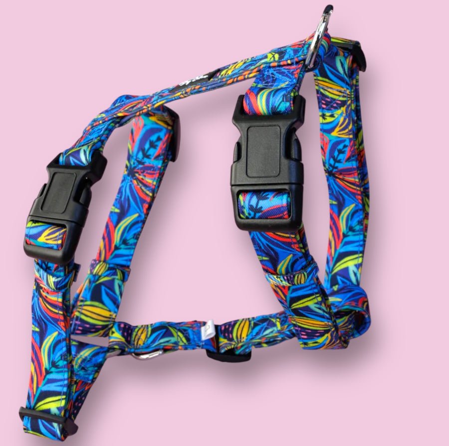 Step in H Harness with front & back attachment | Oasis | Fully Padded Canvas & Neoprene Harness-H-Harness-Dizzy Dog Collars