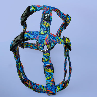 Step in H-Harness with front & back attachment | Oasis | Fully Padded Canvas & Neoprene Harness-H-Harness-Dizzy Dog Collars