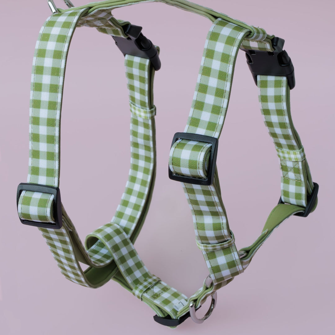 Step in H-Harness with front & back attachment | Olive Gingham | Fully Padded Canvas & Neoprene Harness-H-Harness-Dizzy Dog Collars