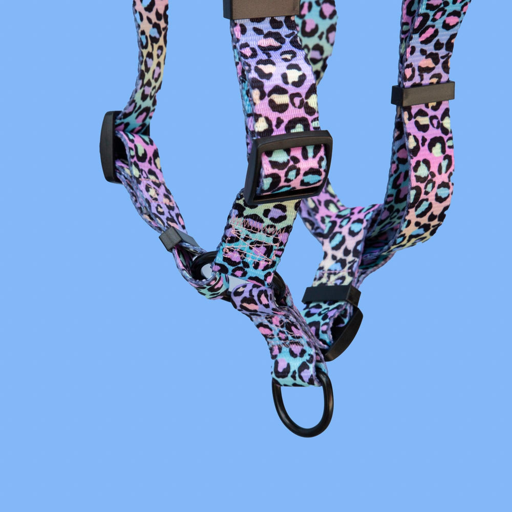 Step in H-Harness with front & back attachment - Ombre Leopard-Harness-Dizzy Dog Collars