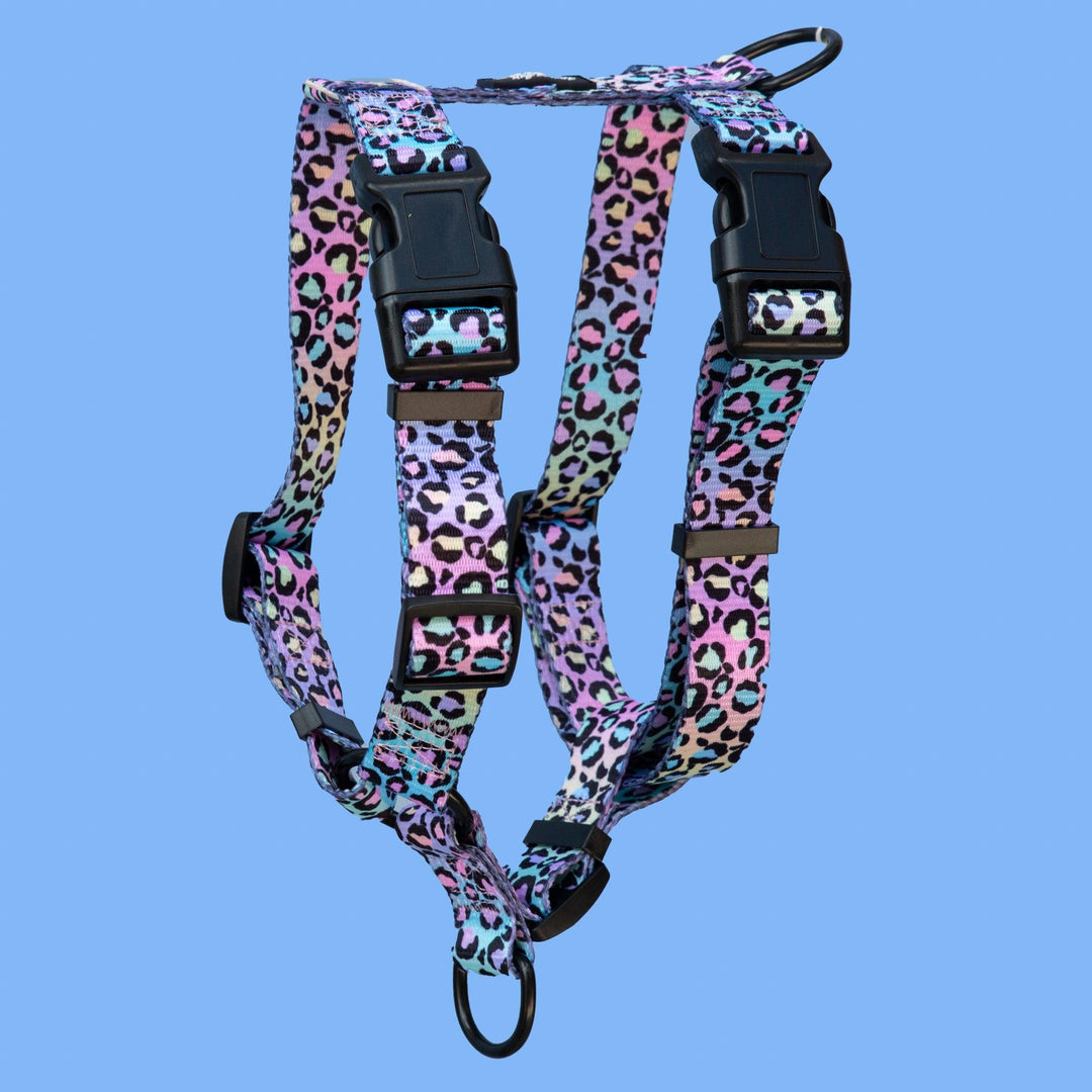 Step in H-Harness with front & back attachment - Ombre Leopard-Harness-Dizzy Dog Collars