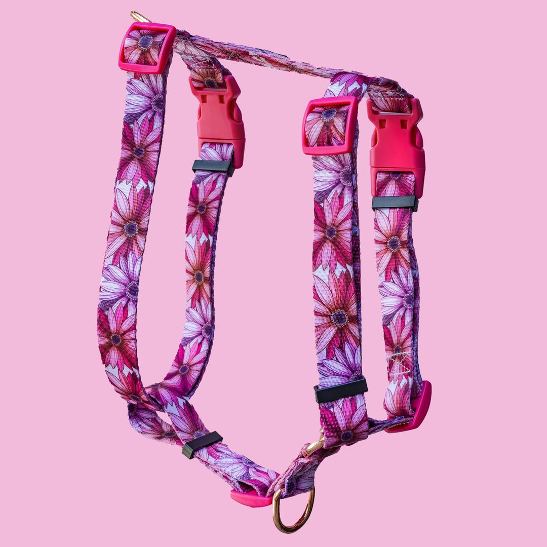 Step in H-Harness with front & back attachment - Perfect Petals-Harness-Dizzy Dog Collars