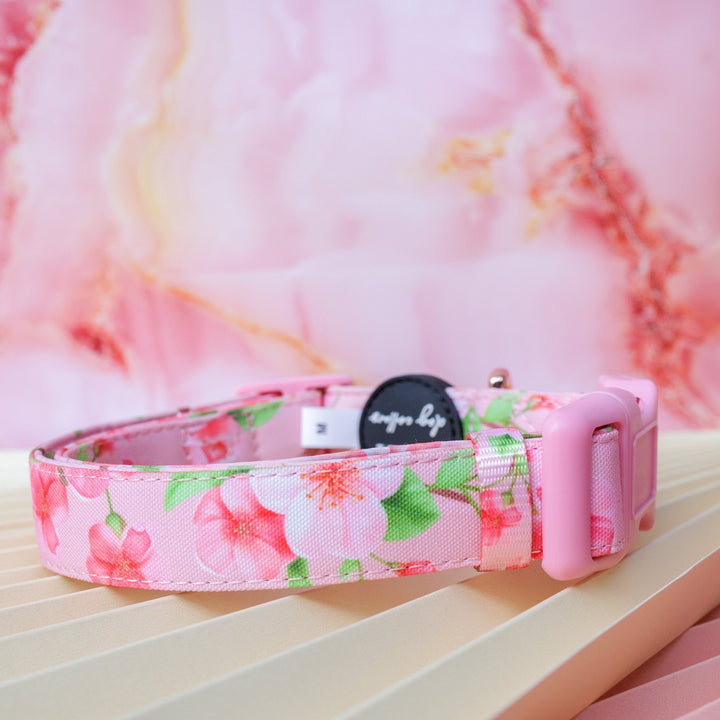 Sweet Sakura Dog Collar | Canvas & Neoprene Dog Collar-Dog Collar-Dizzy Dog Collars