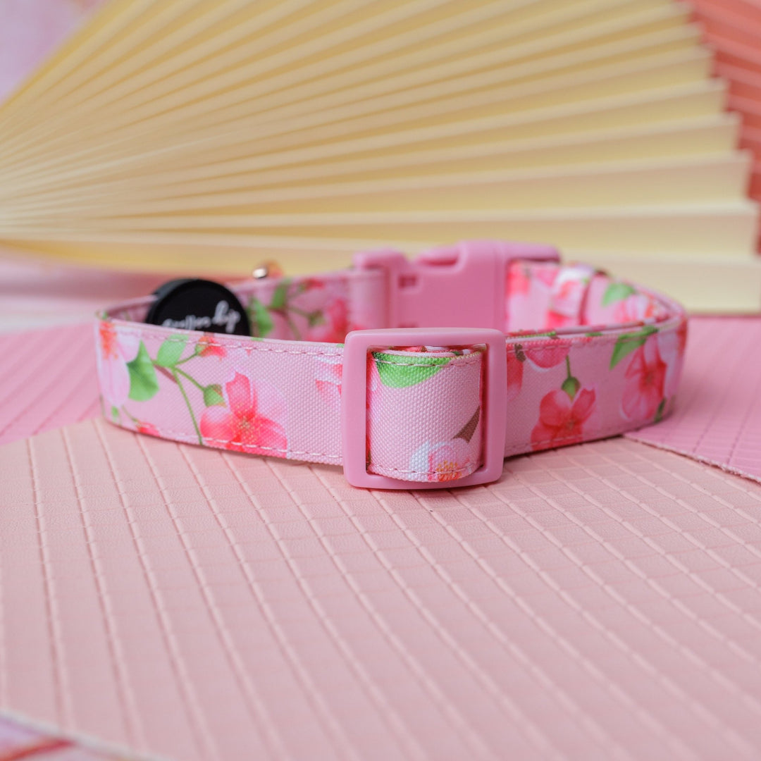 Sweet Sakura Dog Collar | Canvas & Neoprene Dog Collar-Dog Collar-Dizzy Dog Collars