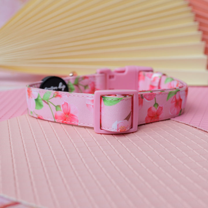 Sweet Sakura Dog Collar | Canvas & Neoprene Dog Collar-Dog Collar-Dizzy Dog Collars