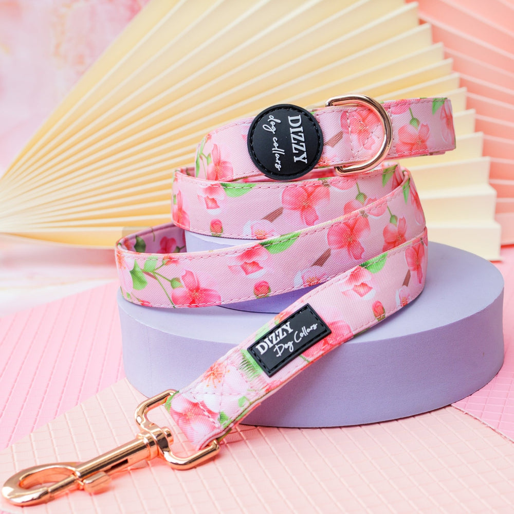 Sweet Sakura Dog Leash | Canvas & Neoprene | High Quality Fully Padded Leash-Leash-Dizzy Dog Collars