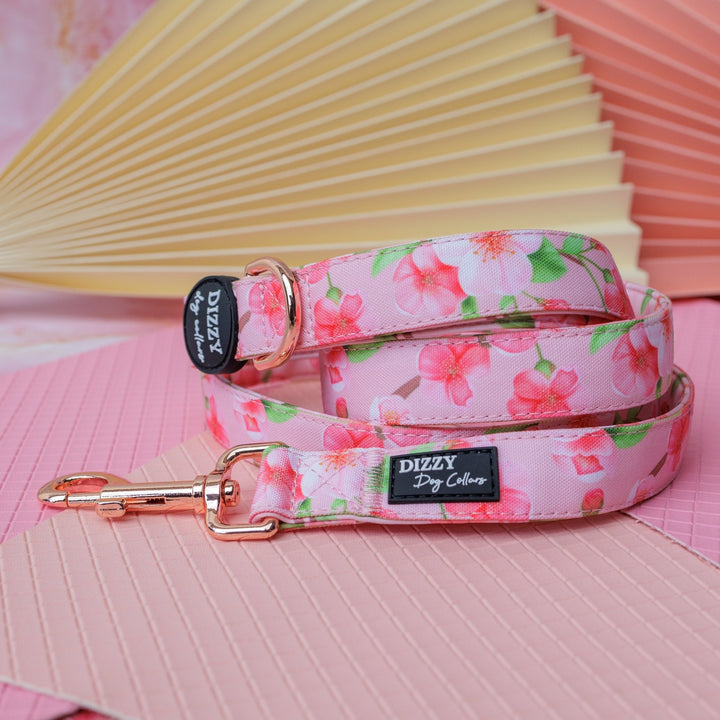 Sweet Sakura Dog Leash | Canvas & Neoprene | High Quality Fully Padded Leash-Leash-Dizzy Dog Collars