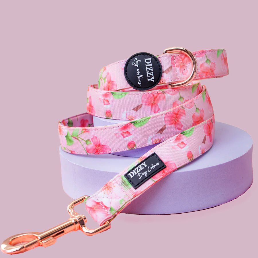 Sweet Sakura Dog Leash | Canvas & Neoprene | High Quality Fully Padded Leash-Leash-Dizzy Dog Collars