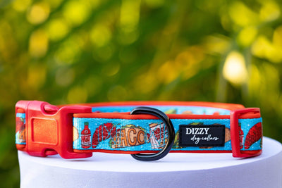 Taco Tuesday | Neoprene Dog Collar-Dog Collar-Dizzy Dog Collars