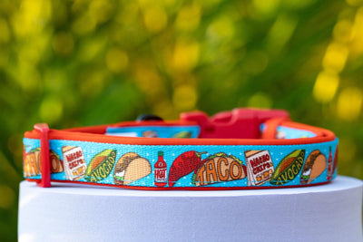 Taco Tuesday | Neoprene Dog Collar-Dog Collar-Dizzy Dog Collars