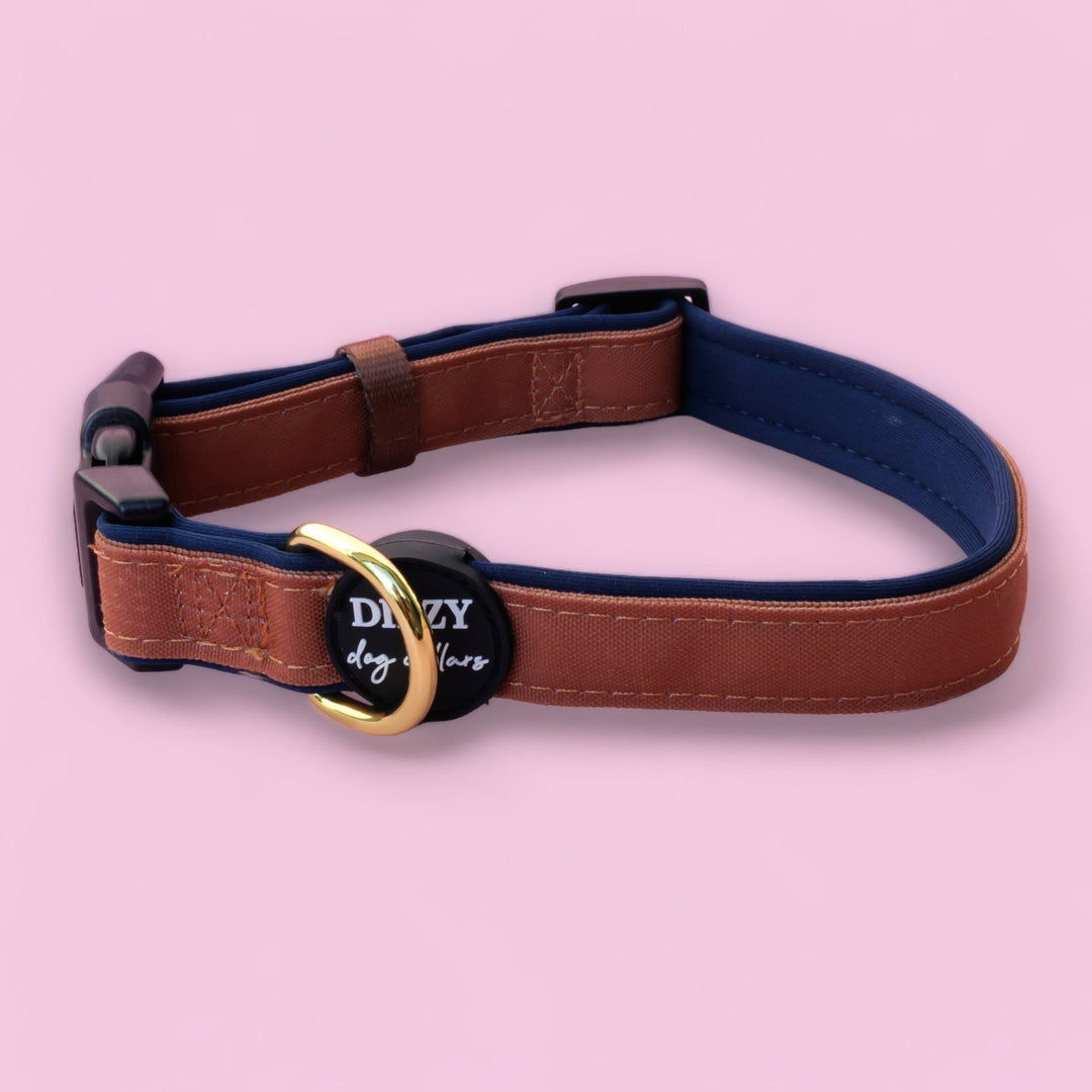 The Coco Dog Collar | Canvas & Neoprene Dog Collar-Dog Collar-Dizzy Dog Collars