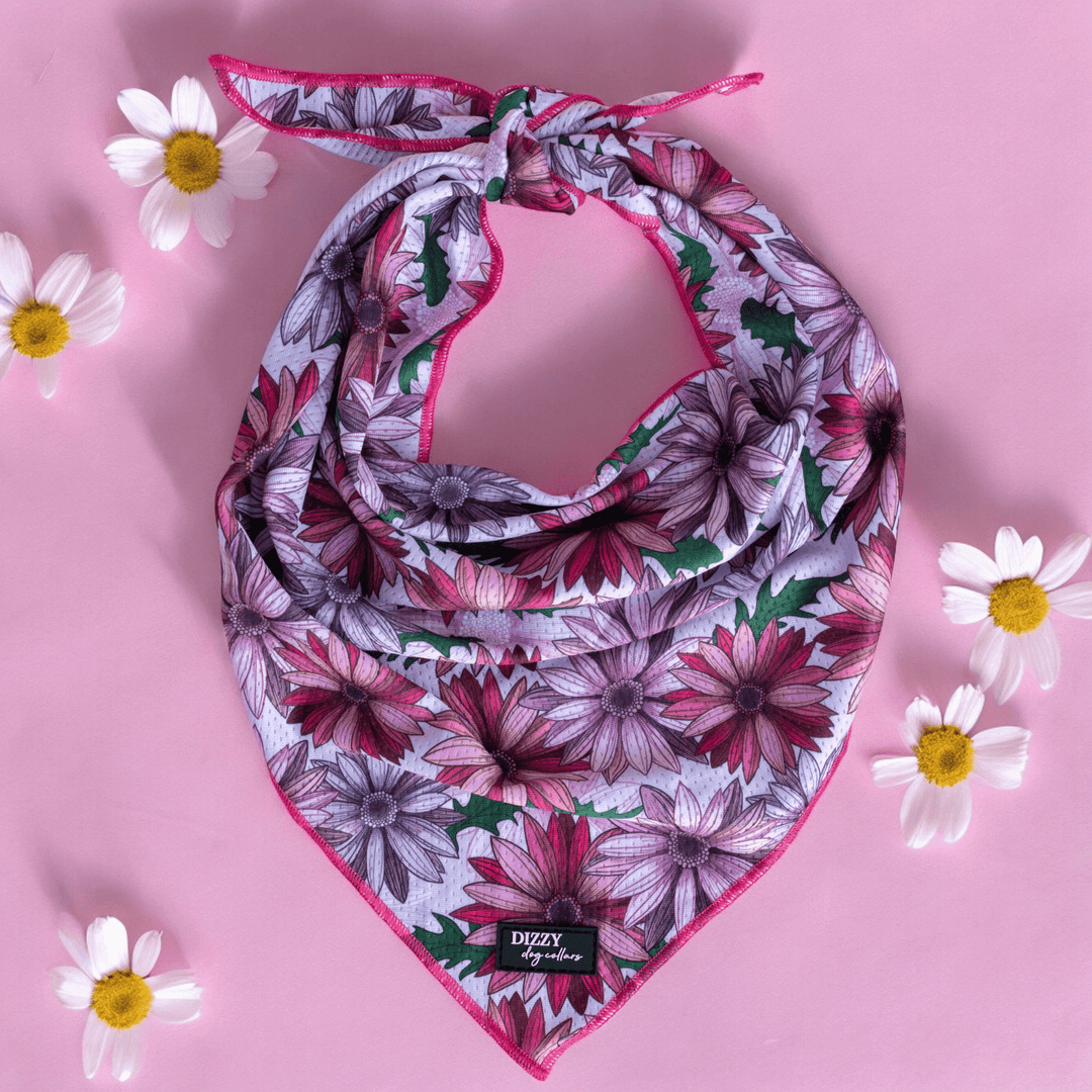 a photo of a pink dog bandana with daisies around the outside