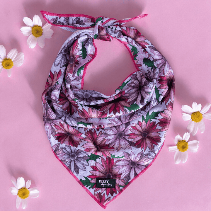 a photo of a pink dog bandana with daisies around the outside