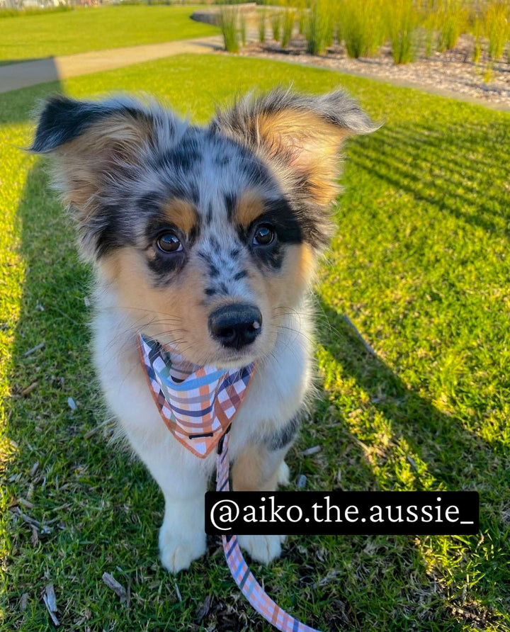 Tie Up Dog Bandana | Vintage Gingham-Bandana-Dizzy Dog Collars