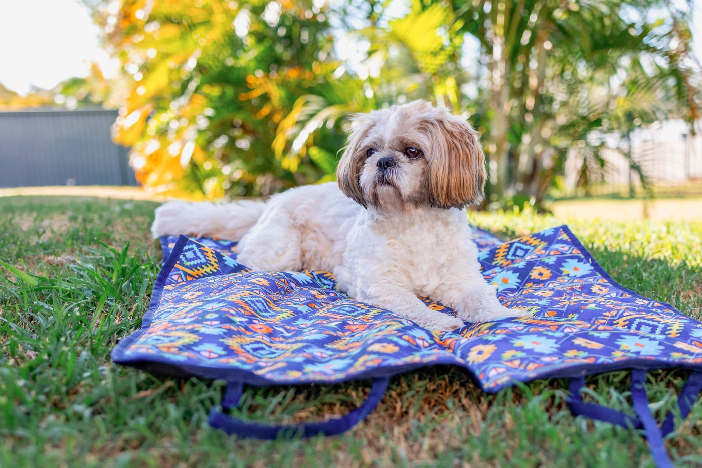 Trolley Mat | Dog Picnic Mat | Aztec Empire-Dizzy Dog Collars