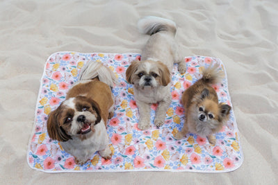 Trolley Mat | Dog Picnic Mat | Peachy Posies