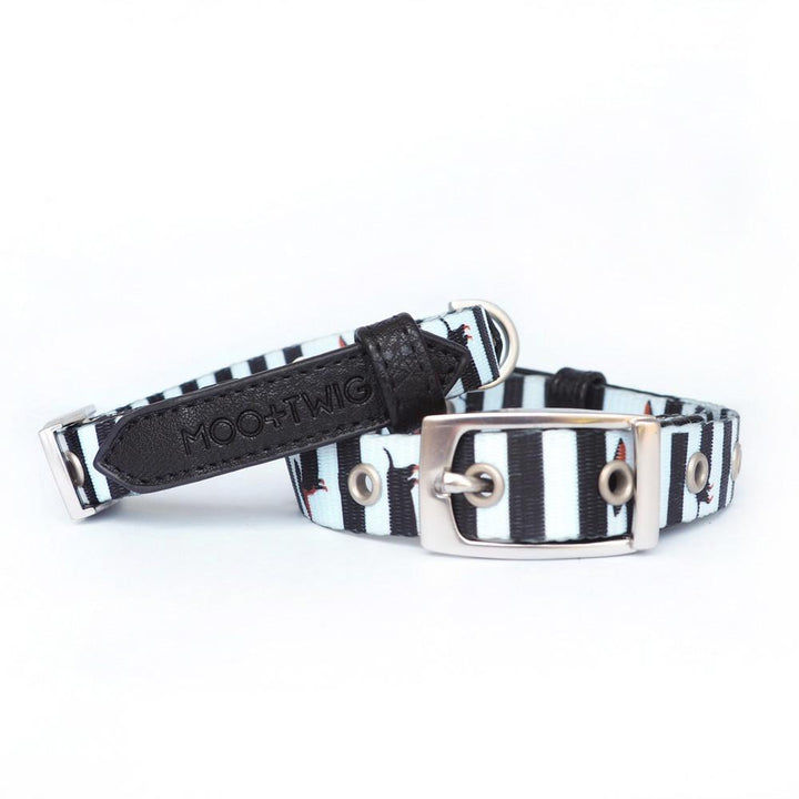 Dachshund Dog Collar, Dog Collar for Dachshunds