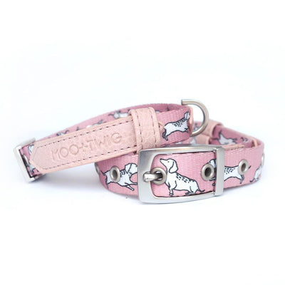 Dachshund Dog Collar, Dog Collar for Dachshunds