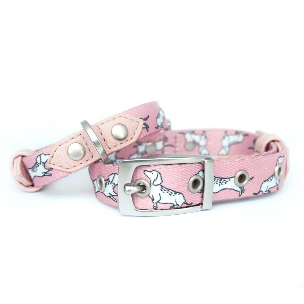 Dachshund Dog Collar, Dog Collar for Dachshunds