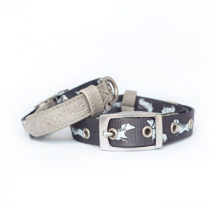 Dachshund Dog Collar, Dog Collar for Dachshunds