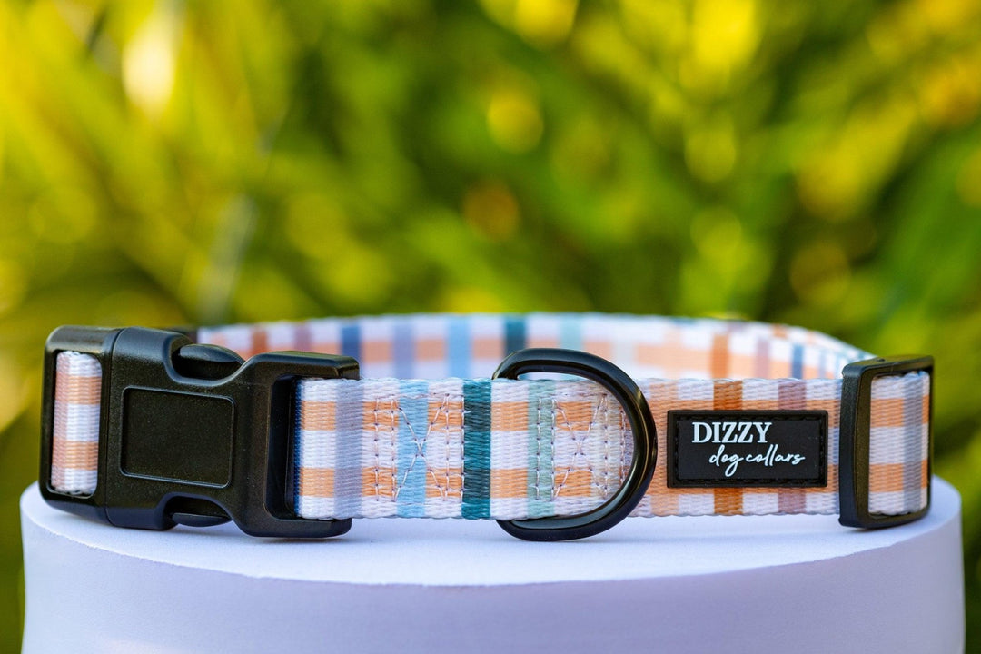 Vintage Gingham Dog Collar | Value Range Dog Collar-Dog Collar-Dizzy Dog Collars