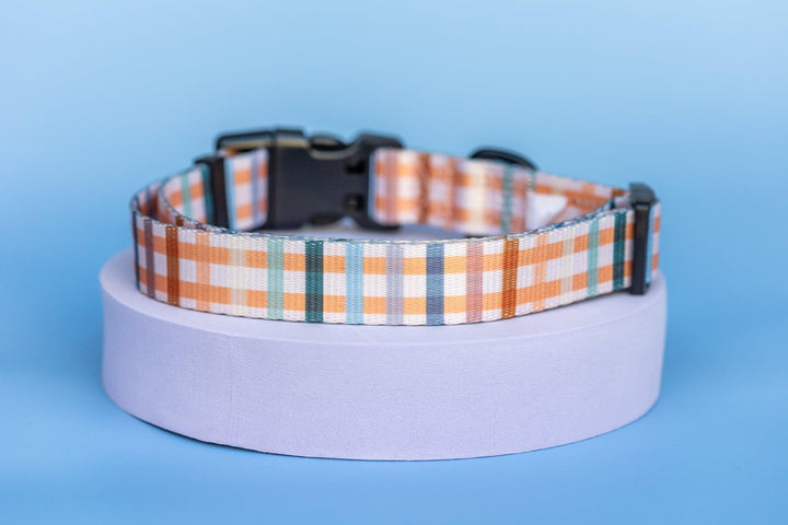 Vintage Gingham Dog Collar | Value Range Dog Collar-Dog Collar-Dizzy Dog Collars