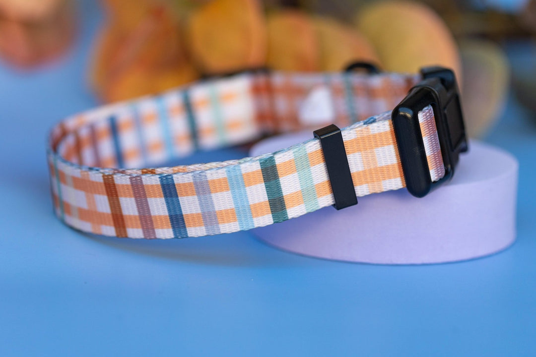 Vintage Gingham Dog Collar | Value Range Dog Collar-Dog Collar-Dizzy Dog Collars